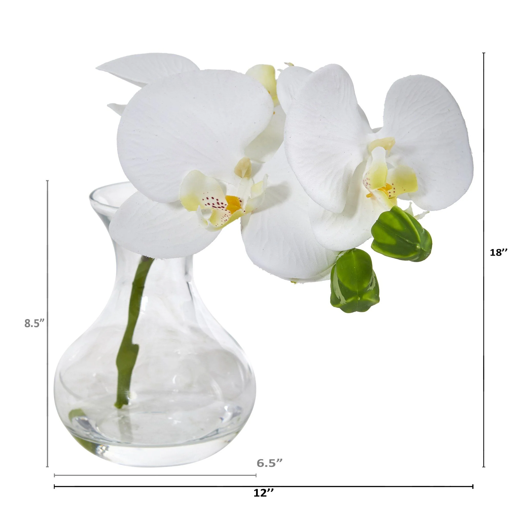 Phalaenopsis Orchid Artificial Arrangement in Vase (Set of 2) - Image 2