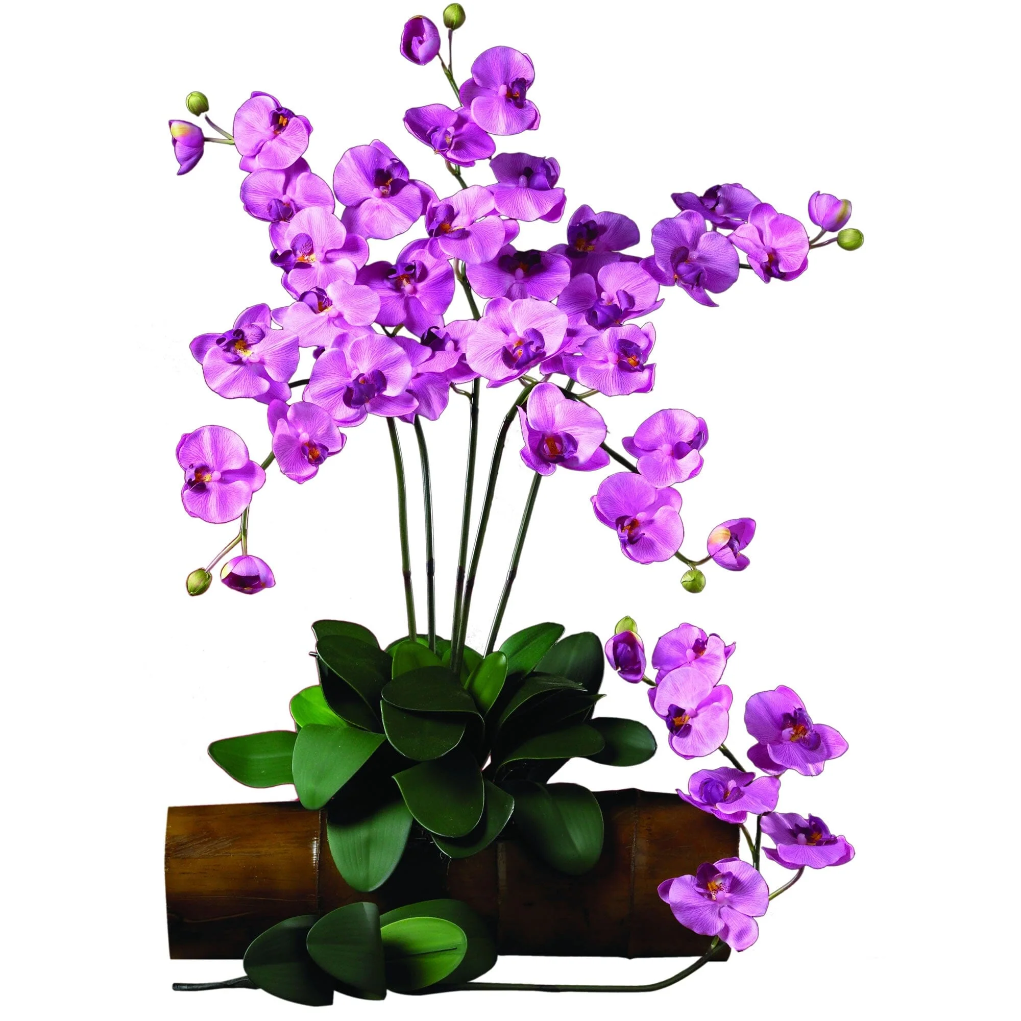 Phalaenopsis Silk Orchid Flower w/Leaves (6 Stems) - Image 6