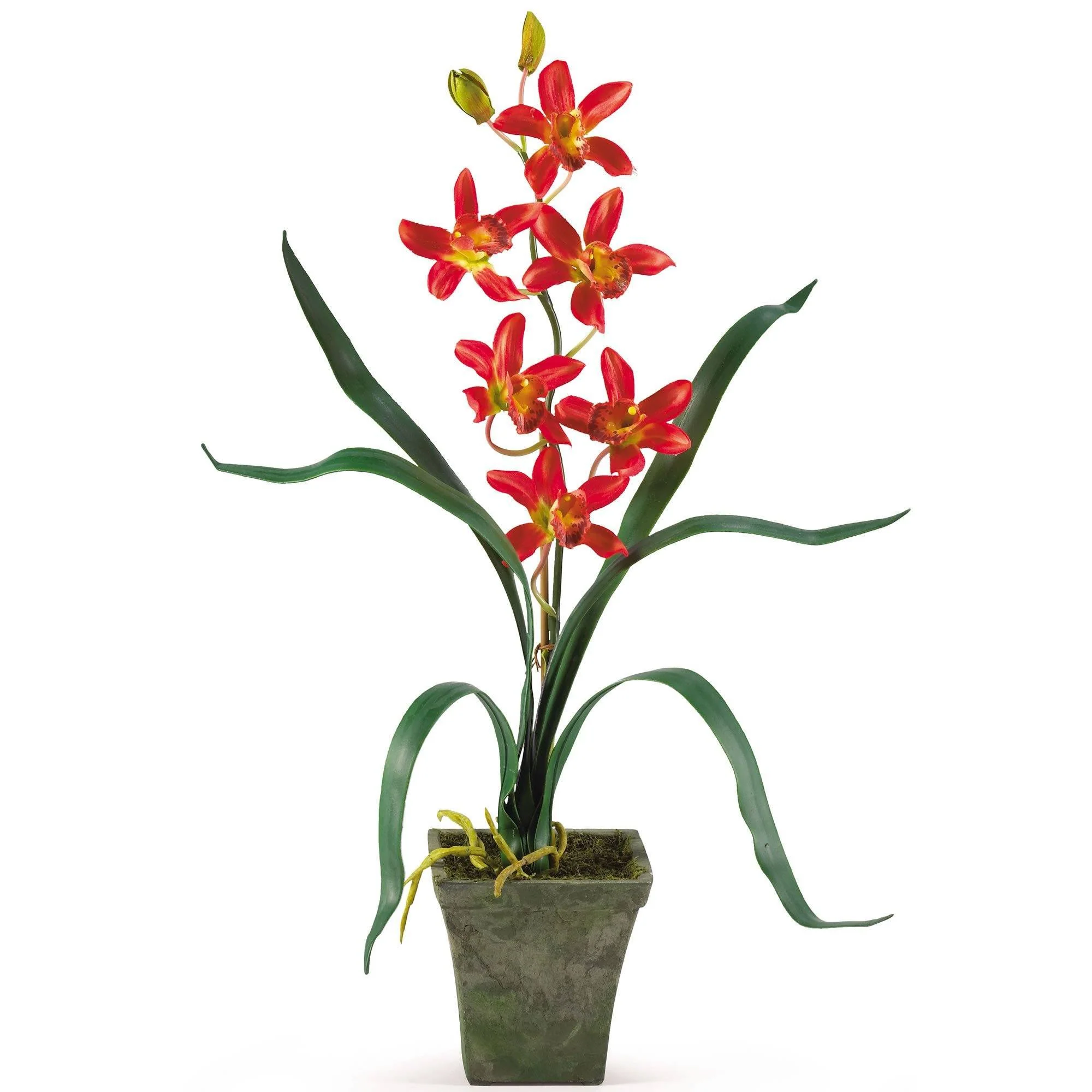 Potted Orchid Mix (Set of 3) - Image 11