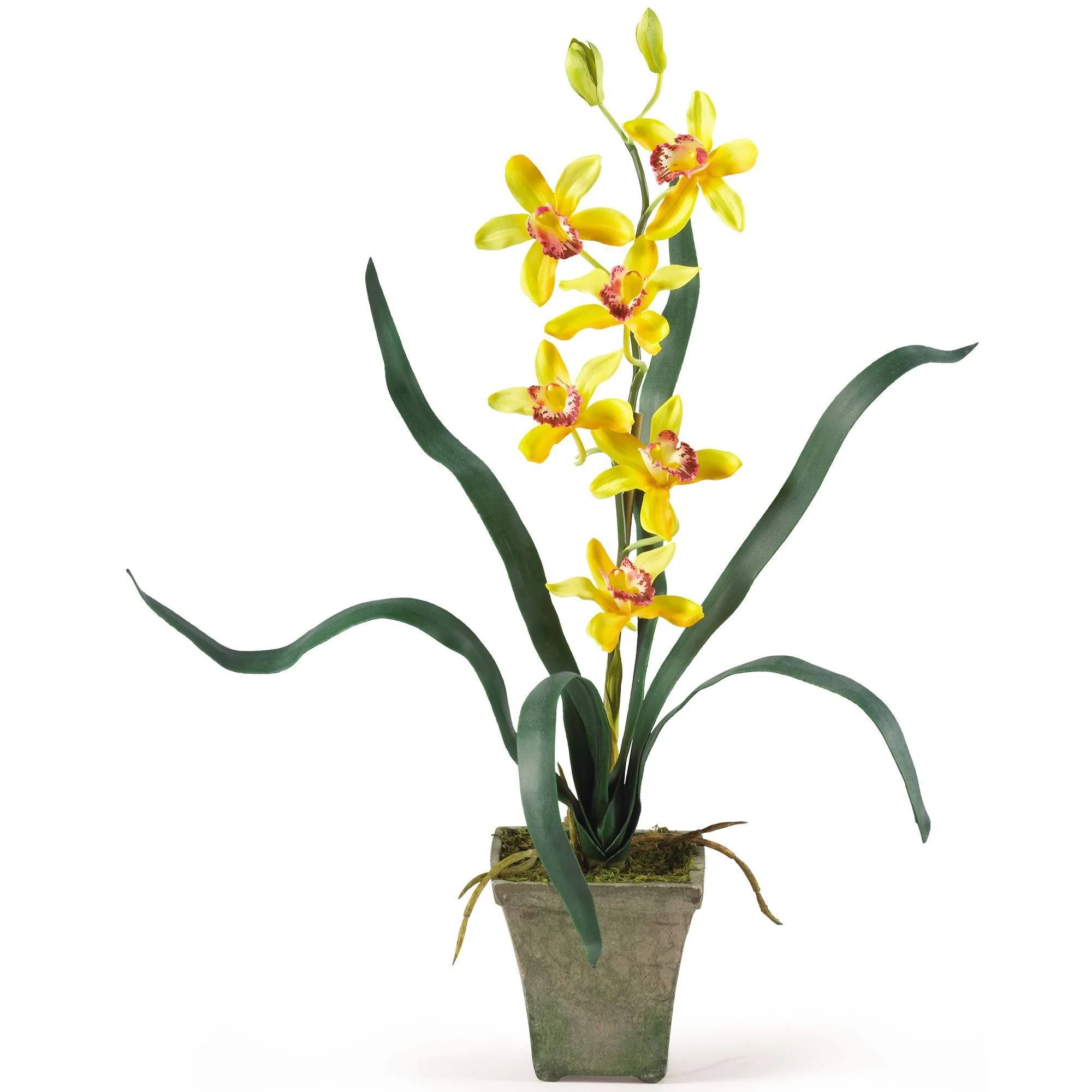 Potted Orchid Mix (Set of 3) - Image 3