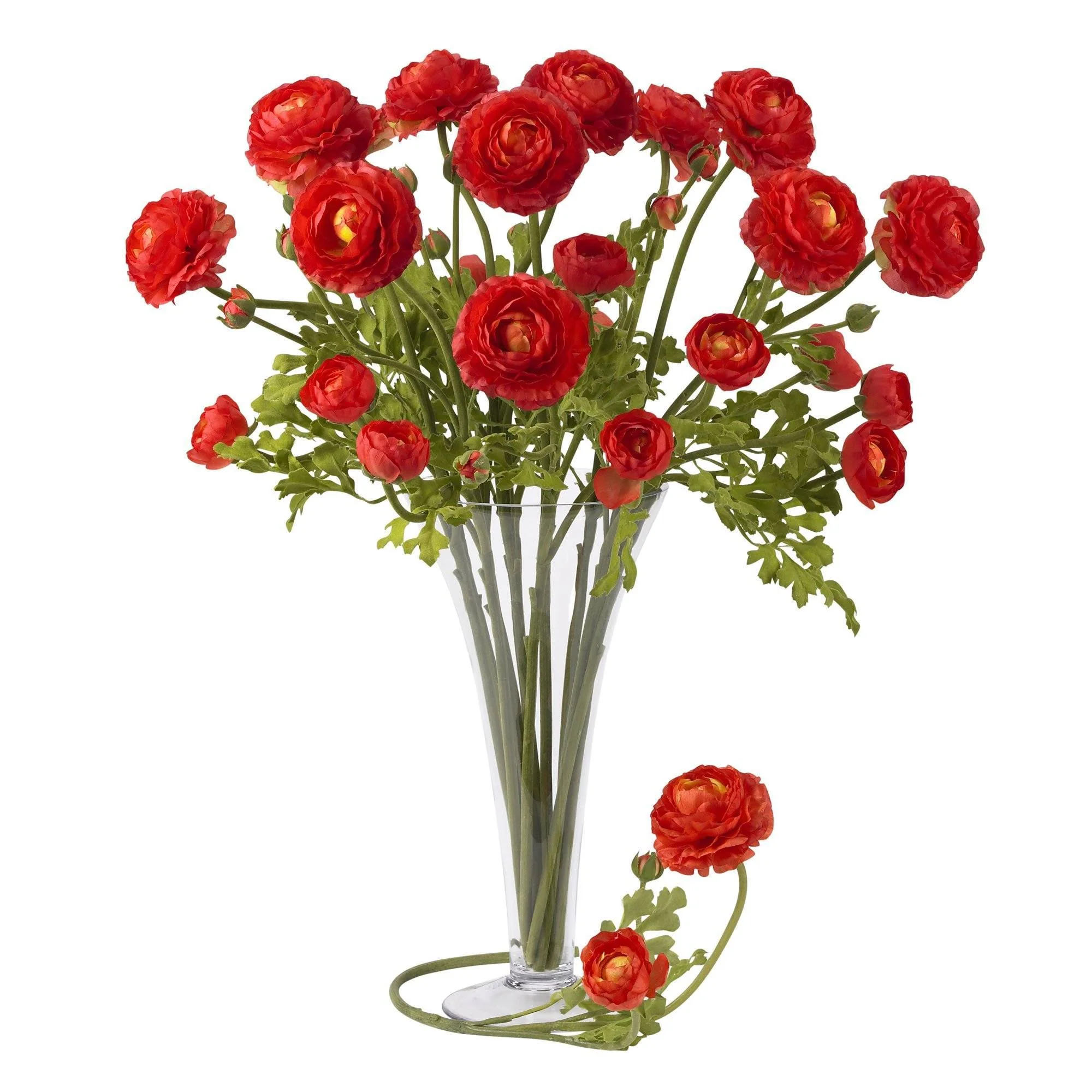 23" Ranunculus Stem (Set of 12)" - Image 6