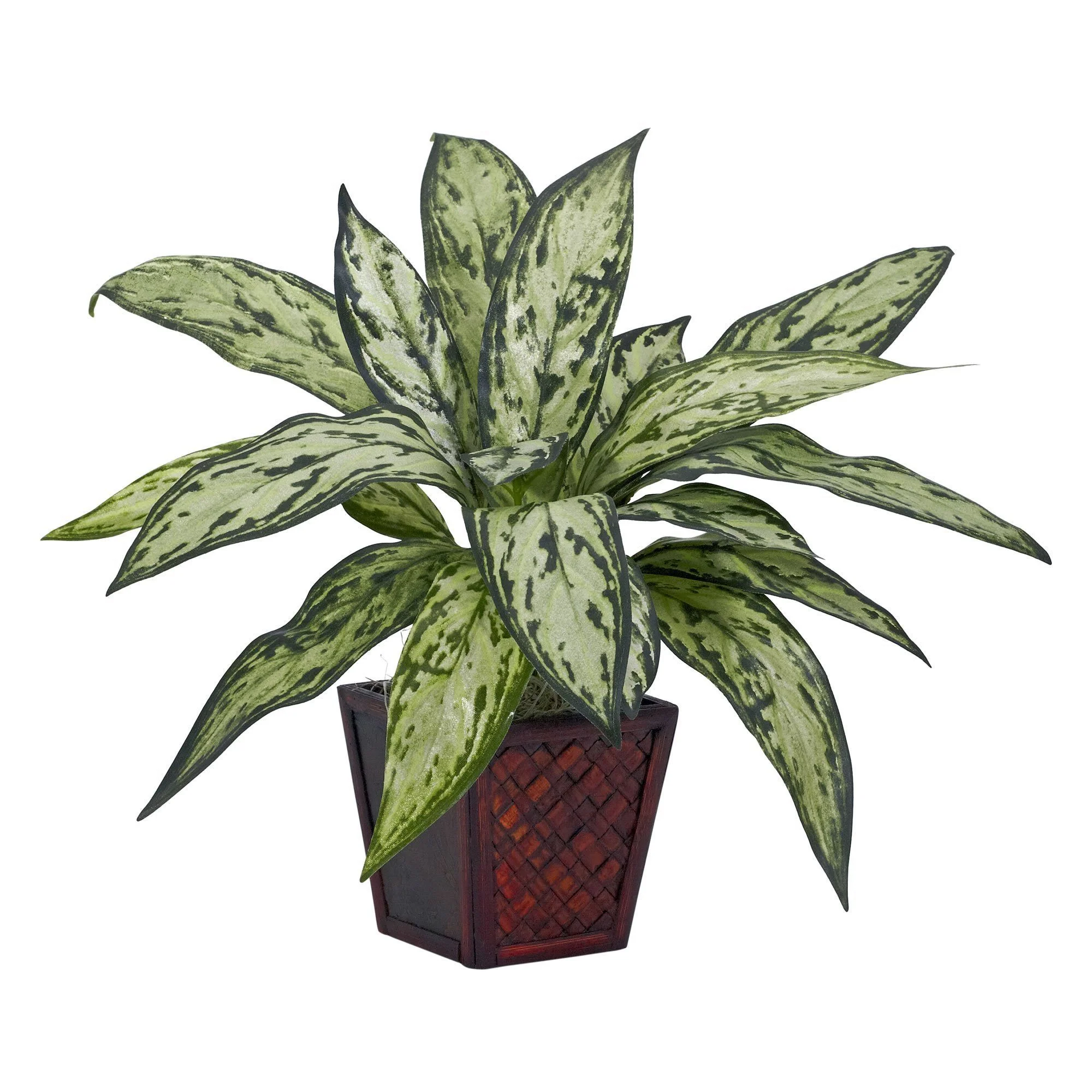 Silver Queen Silk Plant (Set of 2) - Image 2