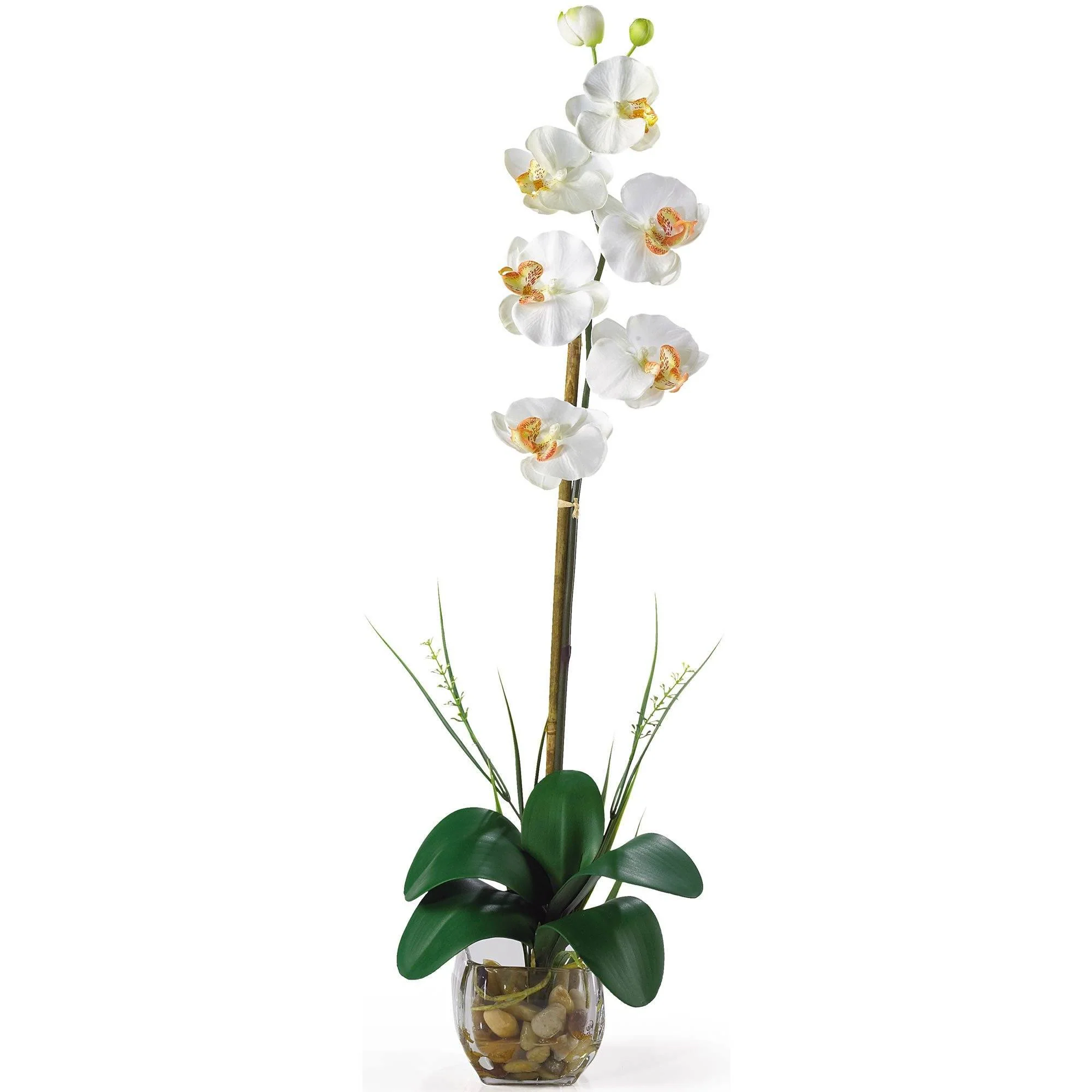 Single Phalaenopsis Liquid Illusion Silk Flower Arrangement - Image 2