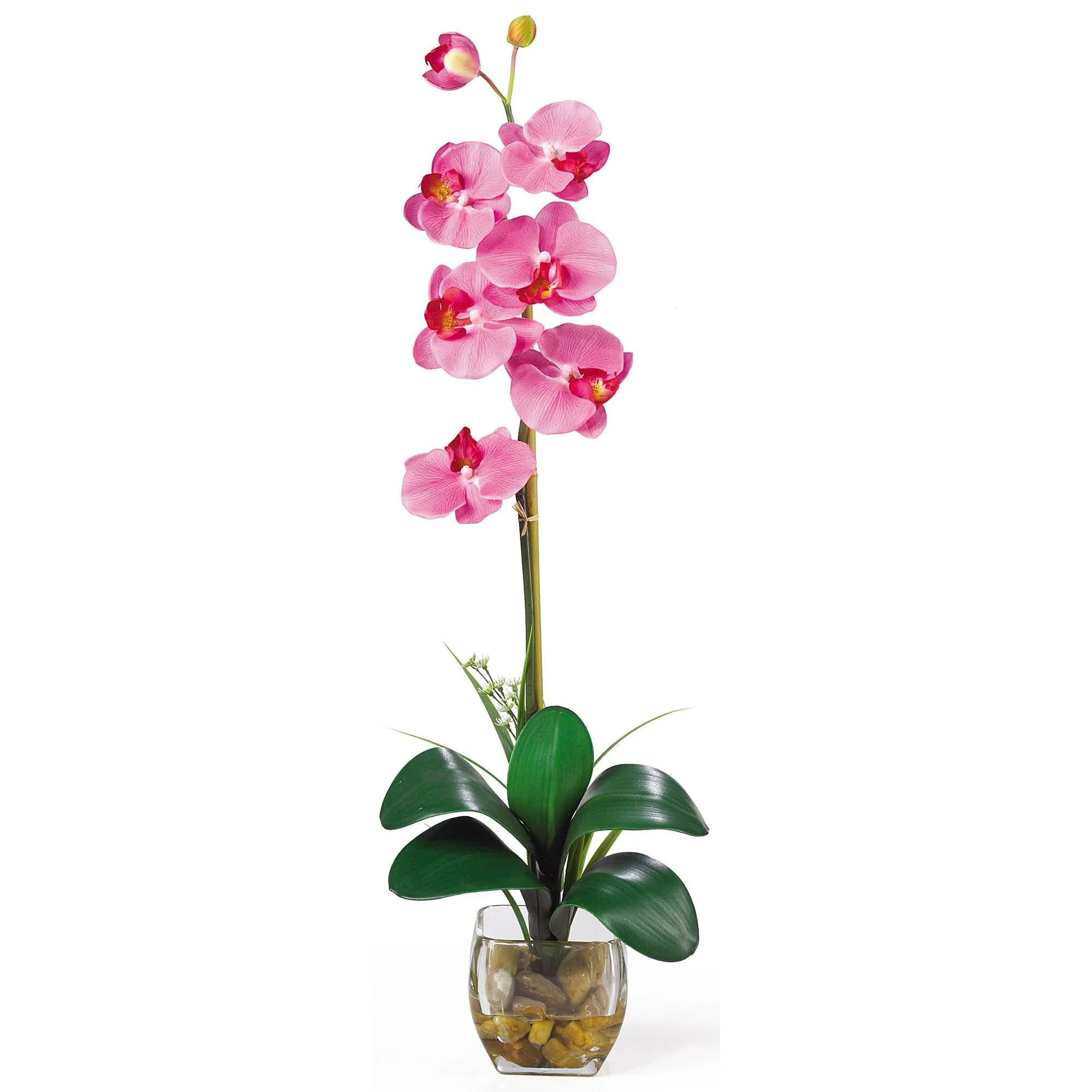 Single Phalaenopsis Liquid Illusion Silk Flower Arrangement - Image 3