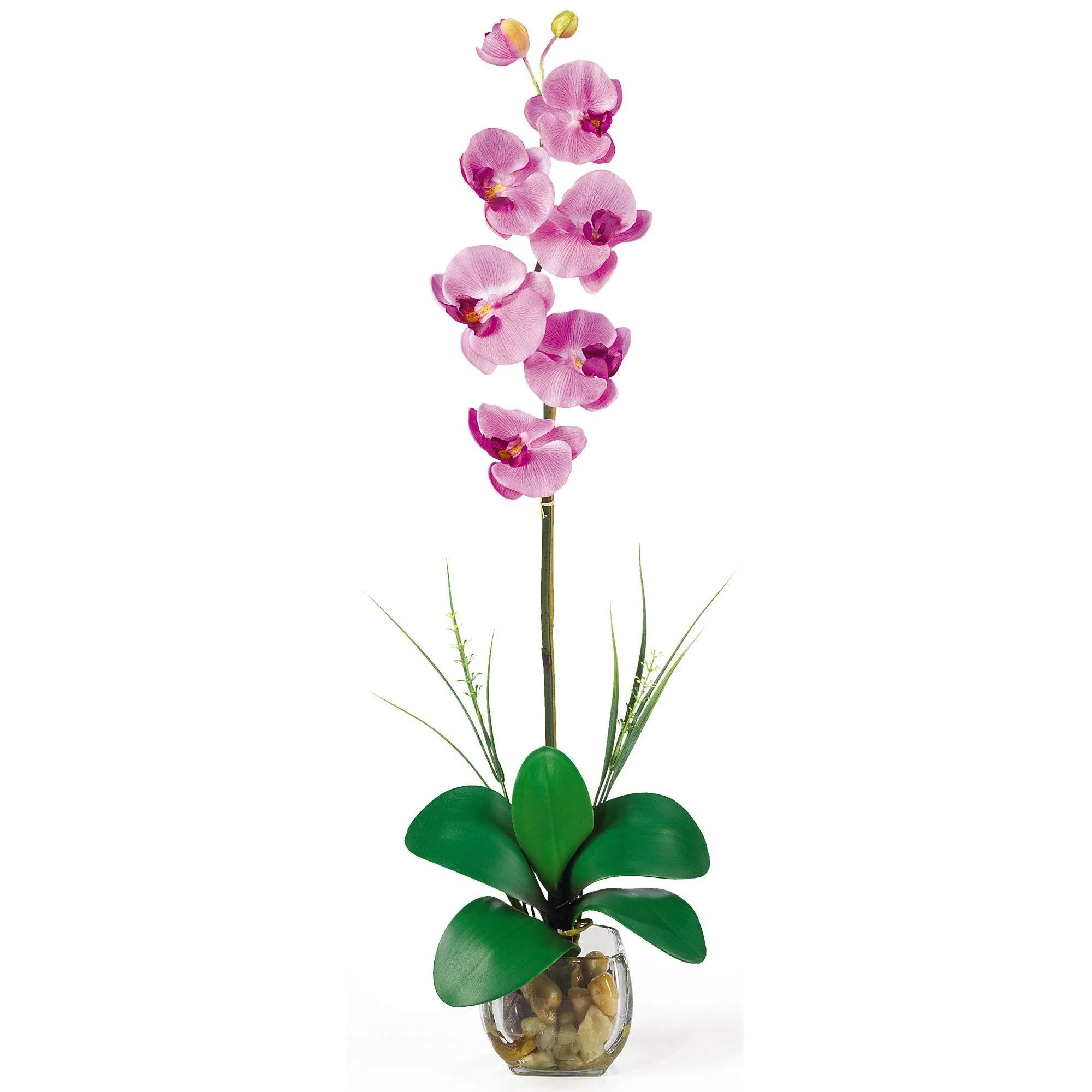 Single Phalaenopsis Liquid Illusion Silk Flower Arrangement - Image 5
