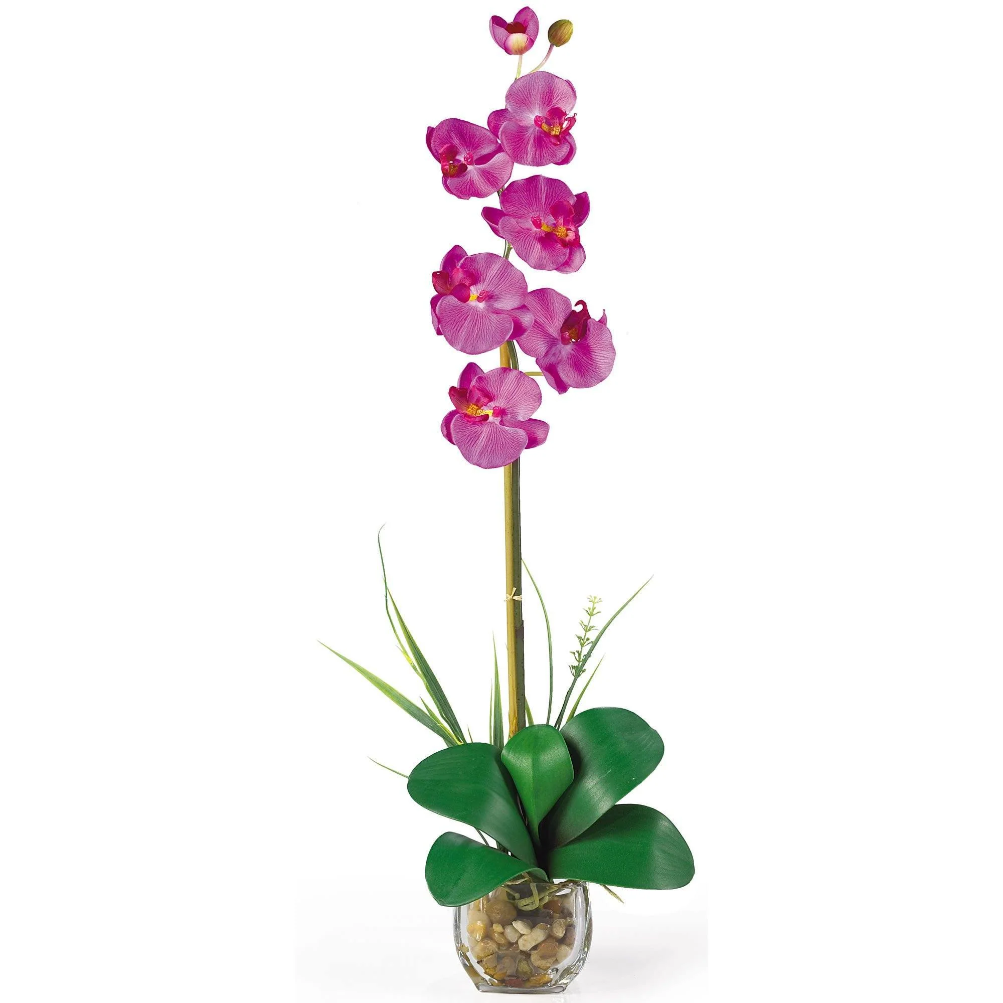 Single Phalaenopsis Liquid Illusion Silk Flower Arrangement - Image 6