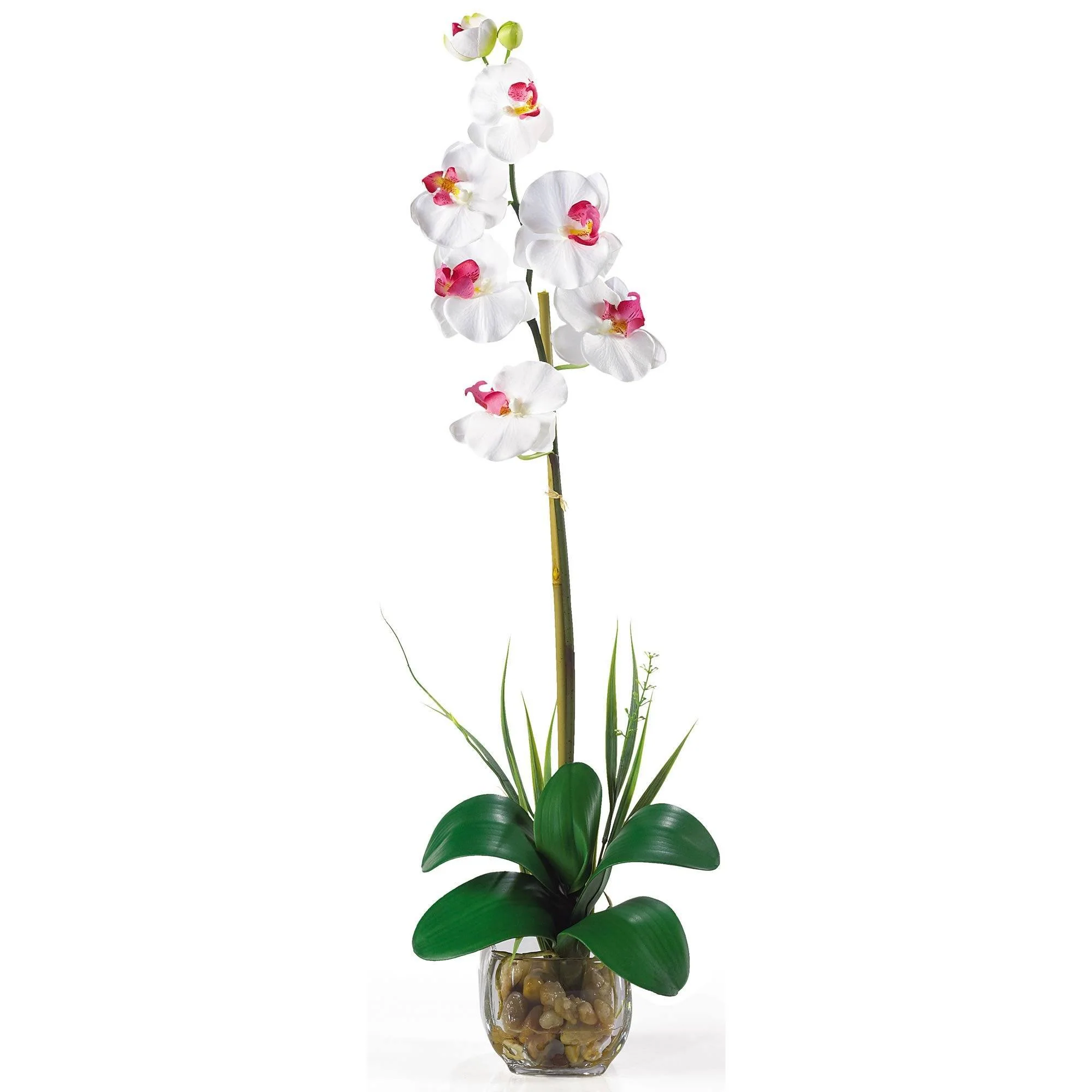 Single Phalaenopsis Liquid Illusion Silk Flower Arrangement - Image 7