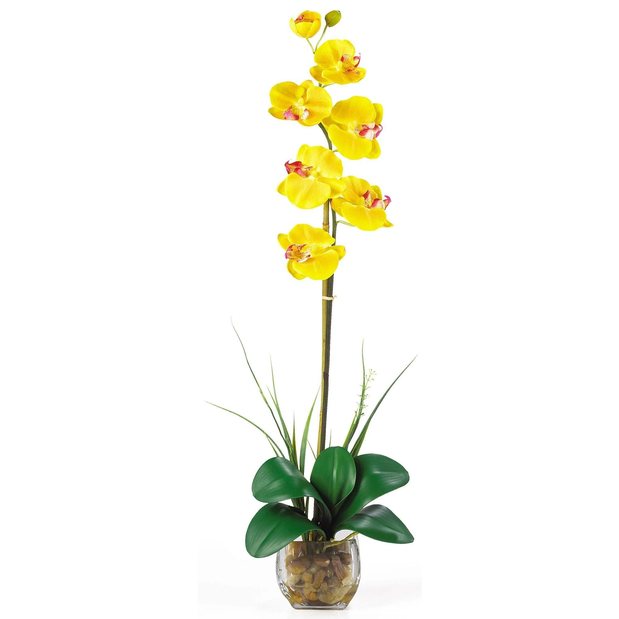 Single Phalaenopsis Liquid Illusion Silk Flower Arrangement - Image 8