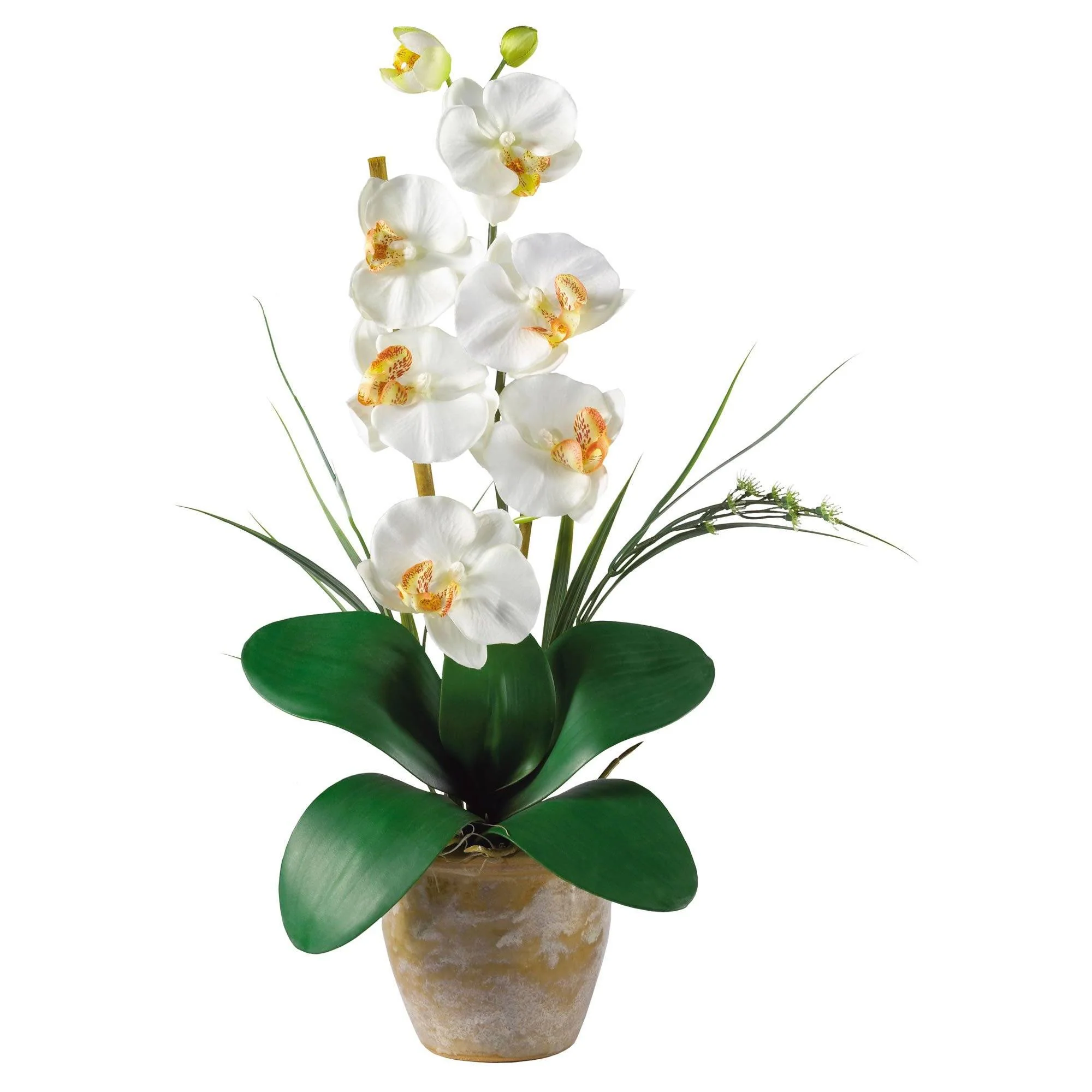 Single Stem Phalaenopsis Silk Orchid Arrangement - Image 2