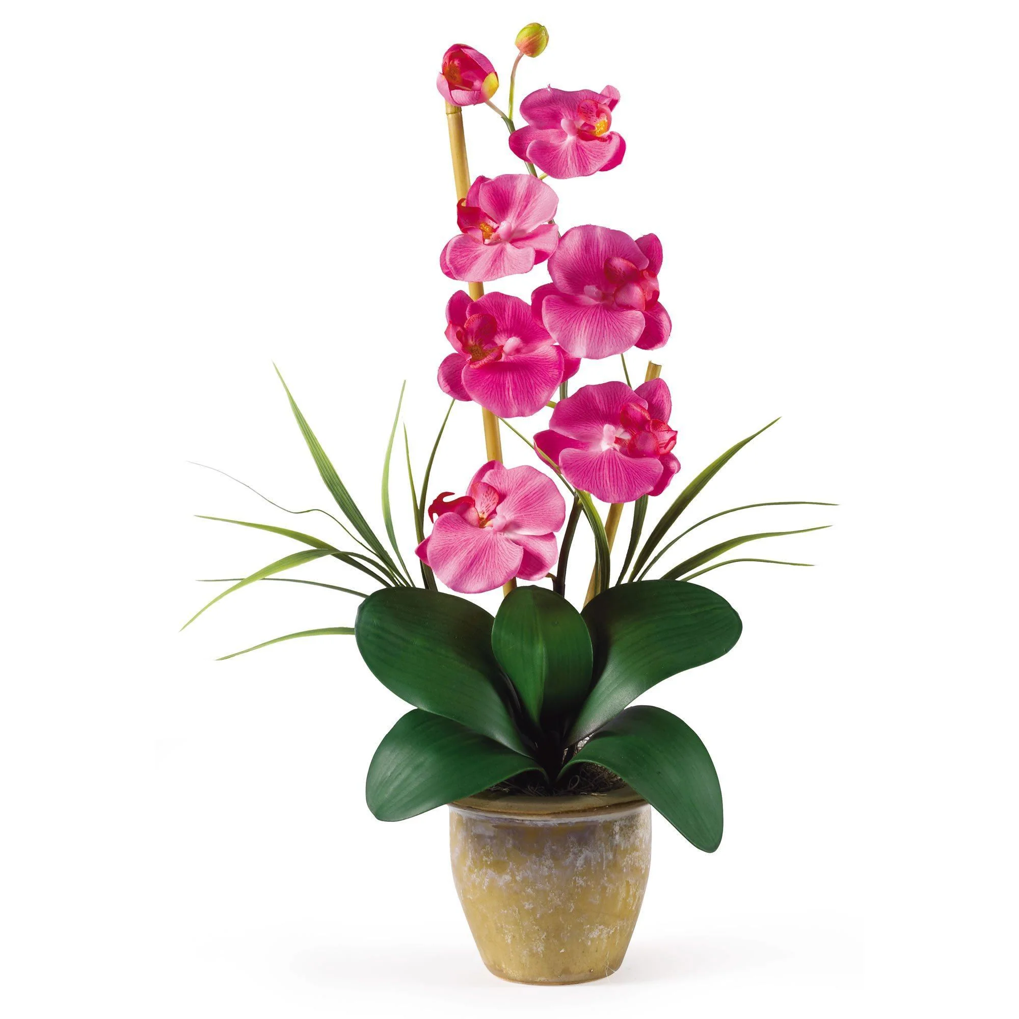 Single Stem Phalaenopsis Silk Orchid Arrangement - Image 3