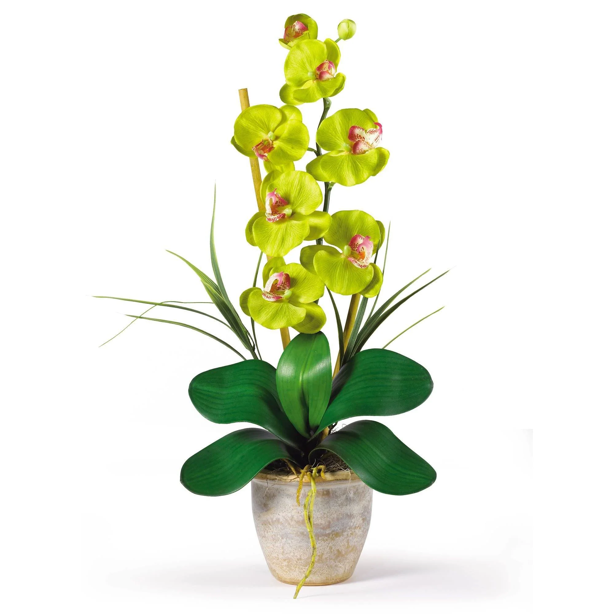 Single Stem Phalaenopsis Silk Orchid Arrangement - Image 4