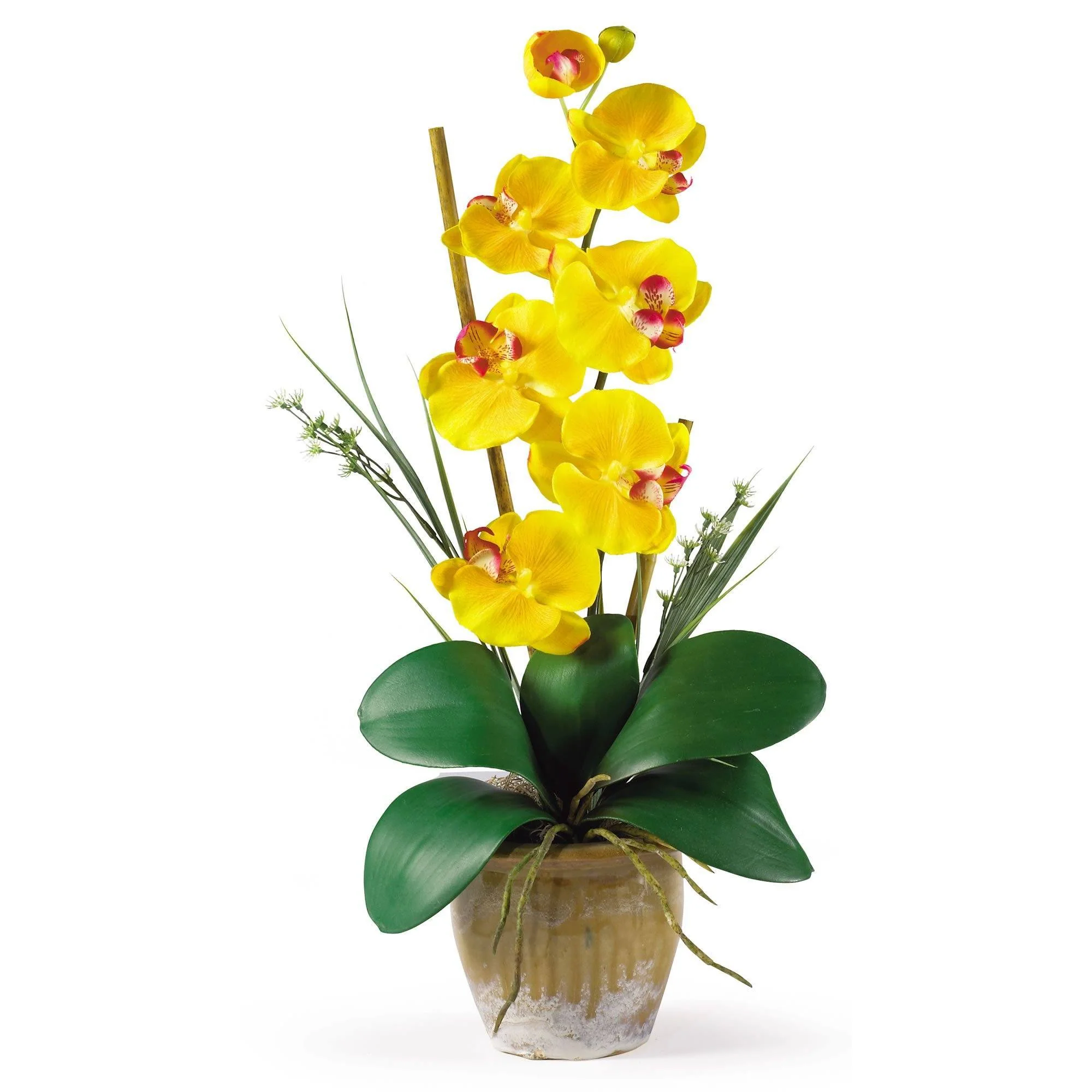Single Stem Phalaenopsis Silk Orchid Arrangement - Image 5