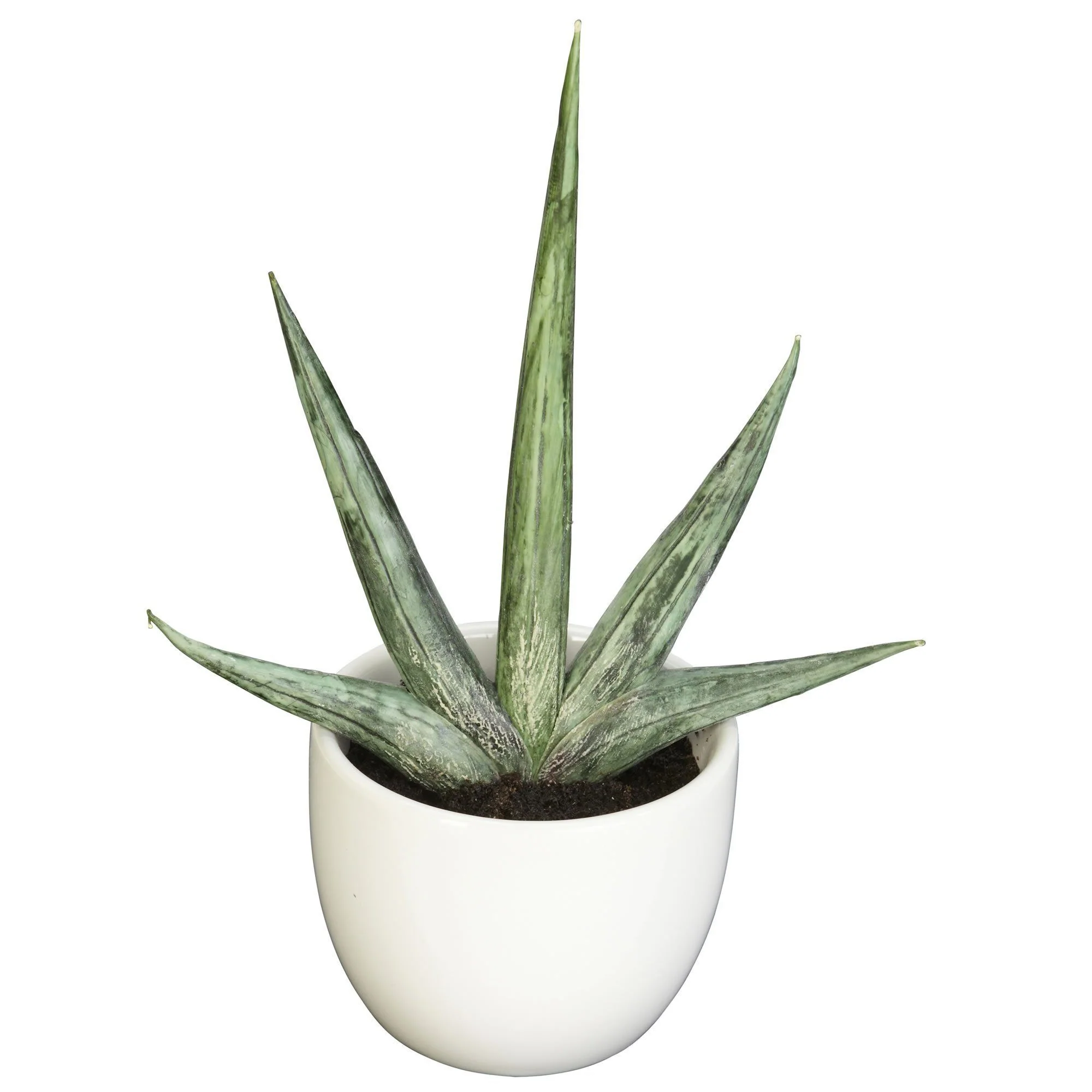 Southwest Artificial Succulent Collection - Set of 3 - Image 3