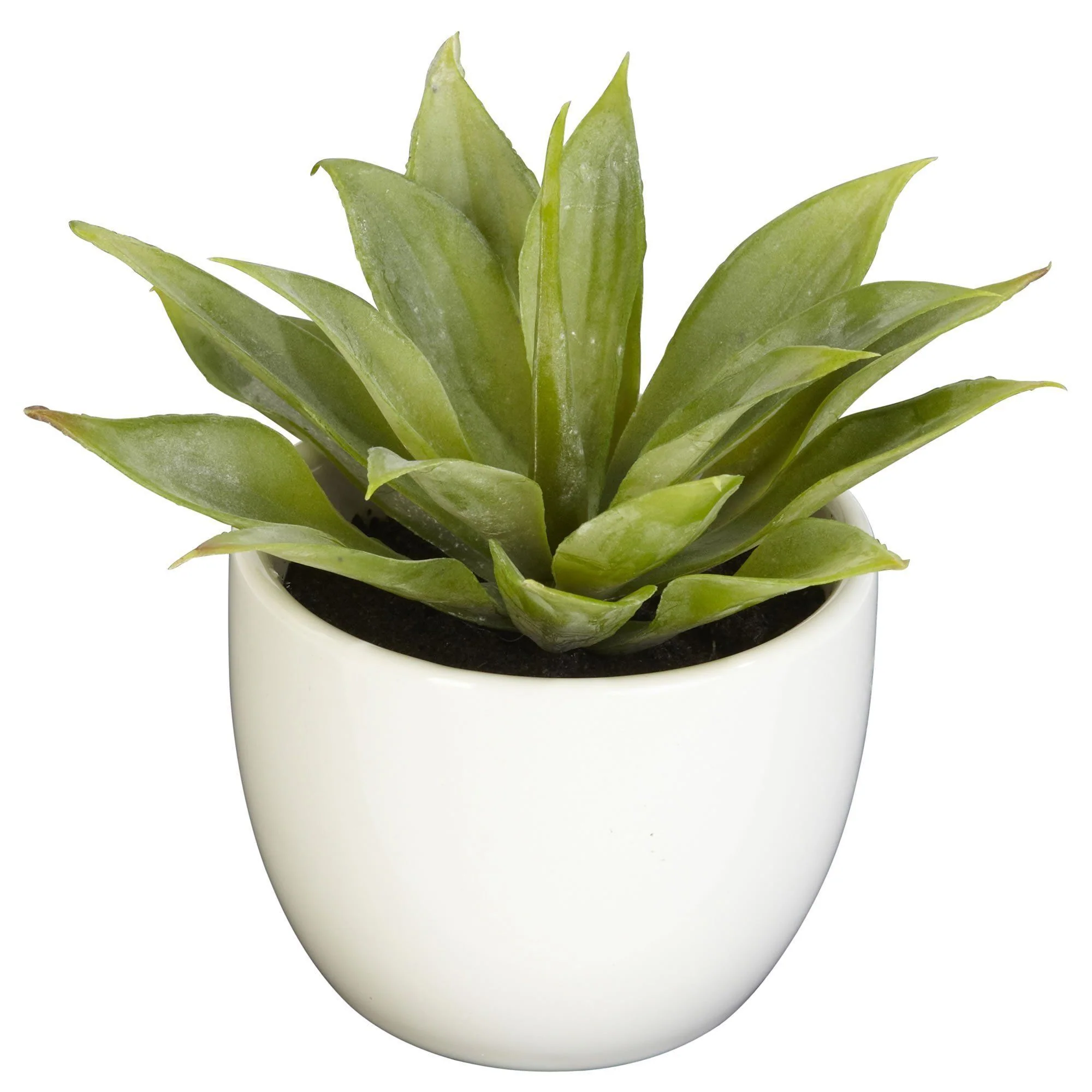 Southwest Artificial Succulent Collection - Set of 3 - Image 4