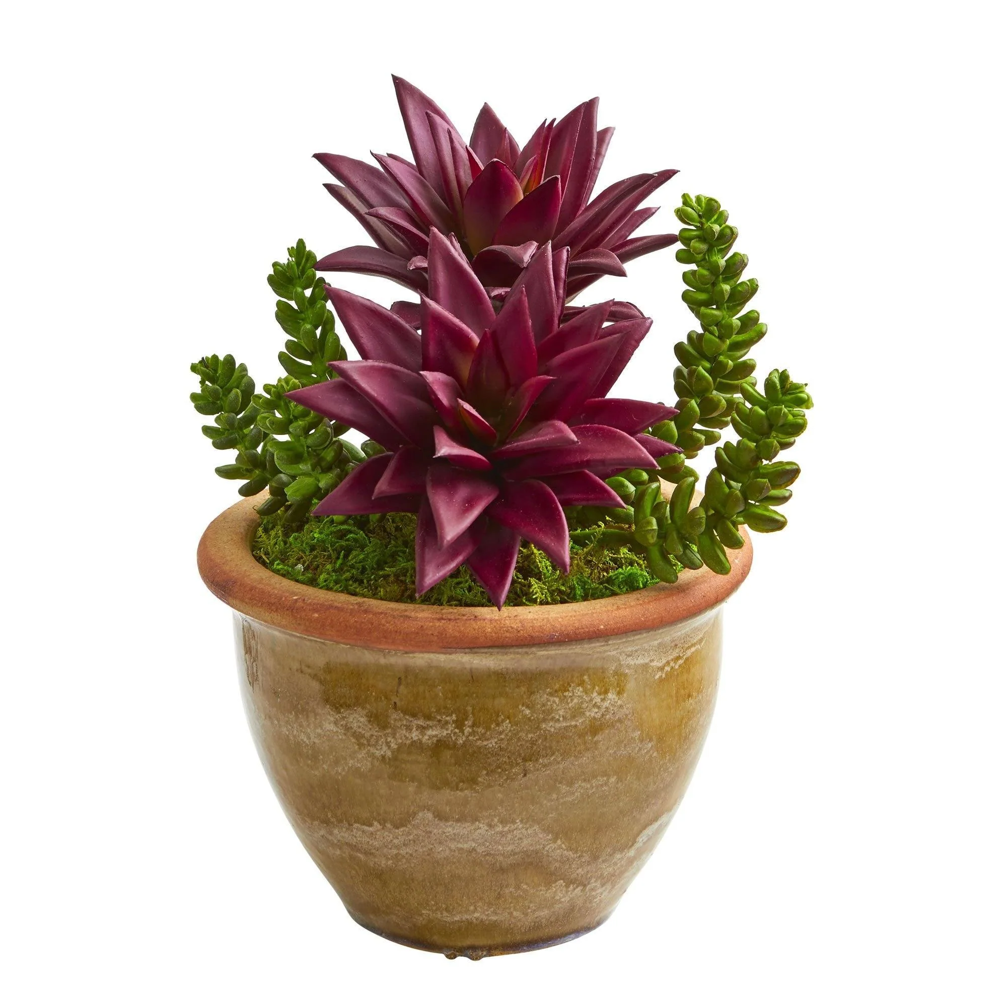 Succulent Artificial Plant in Ceramic Planter (Set of 2) - Image 2