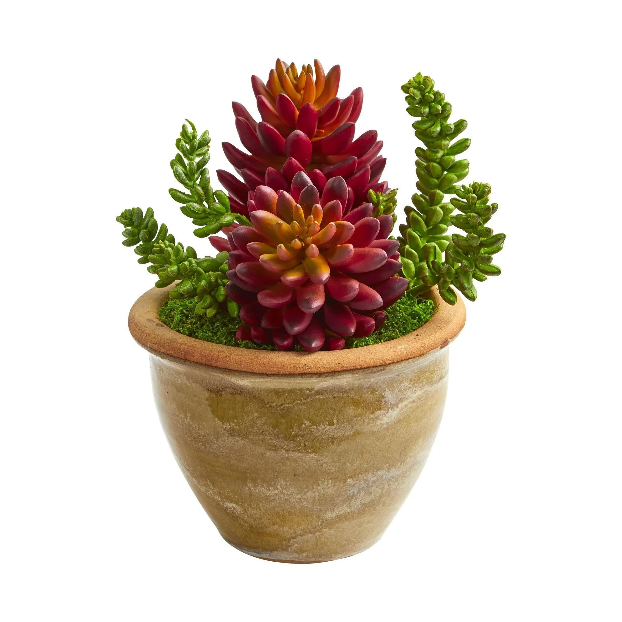 Succulent Artificial Plant in Ceramic Planter (Set of 2) - Image 3