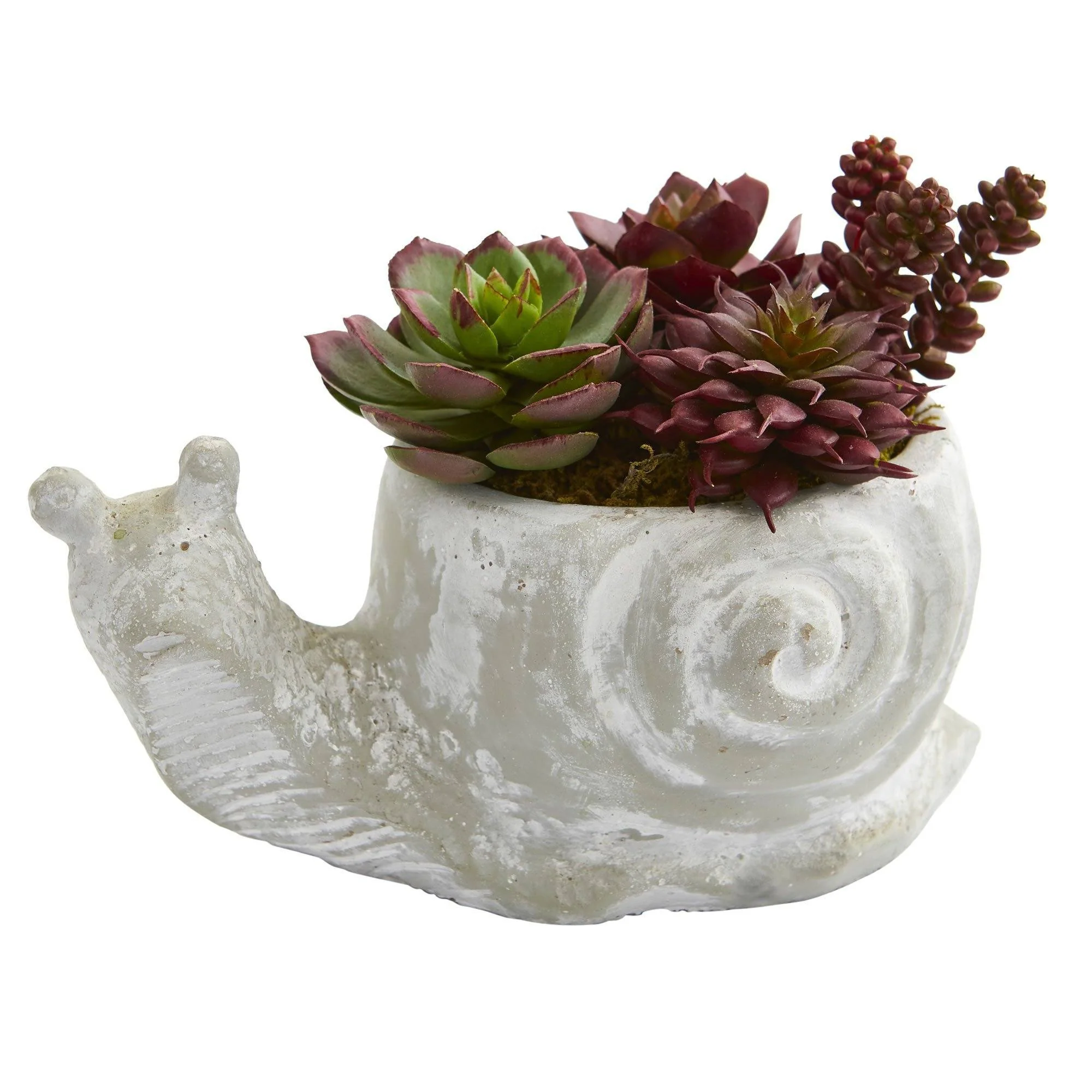 Succulent Artificial Plant in Elephant and Snail Planter (Set of 2) - Image 2