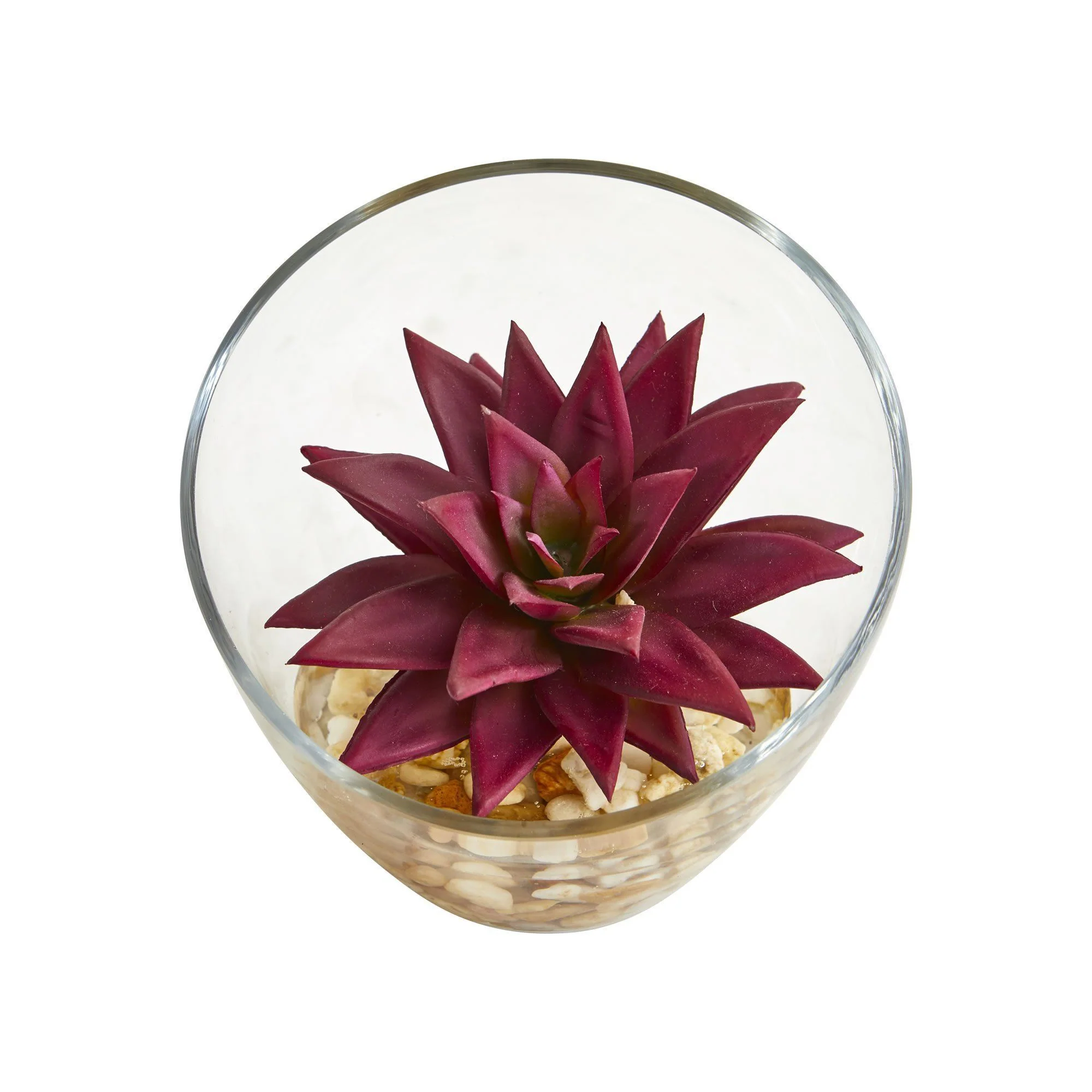 5" Succulent Artificial Plant in Slanted Glass Vase (Set of 2)" - Image 3