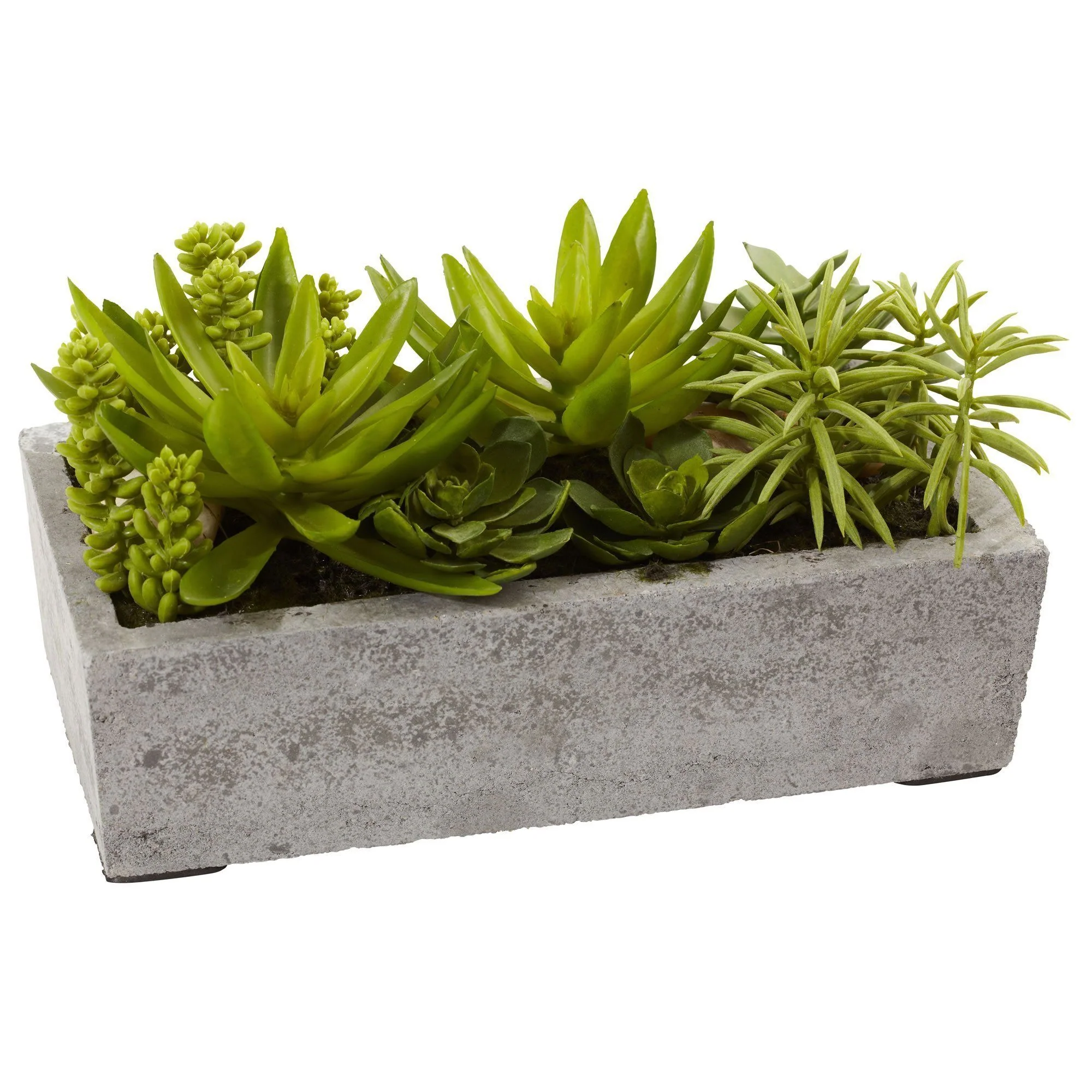 Succulent Garden w/Concrete Planter - Image 3