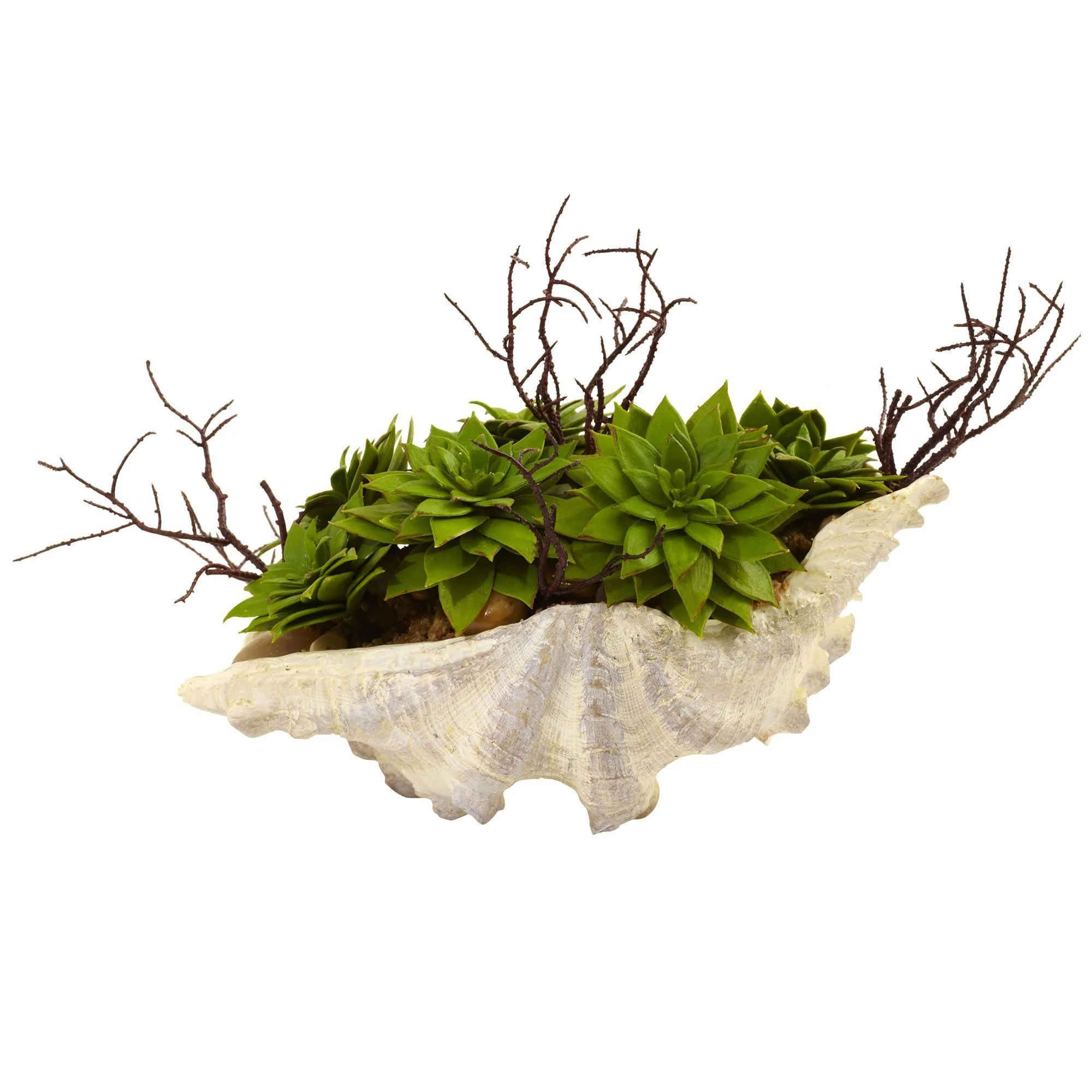 Succulent Garden w/Seashell - Image 3