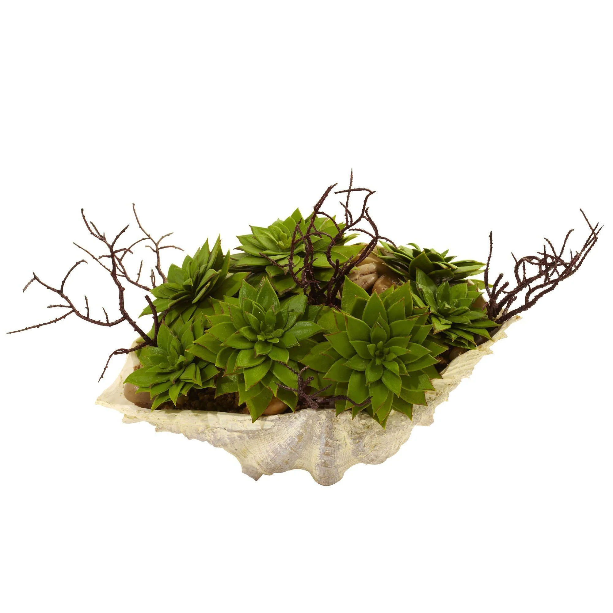 Succulent Garden w/Seashell - Image 4