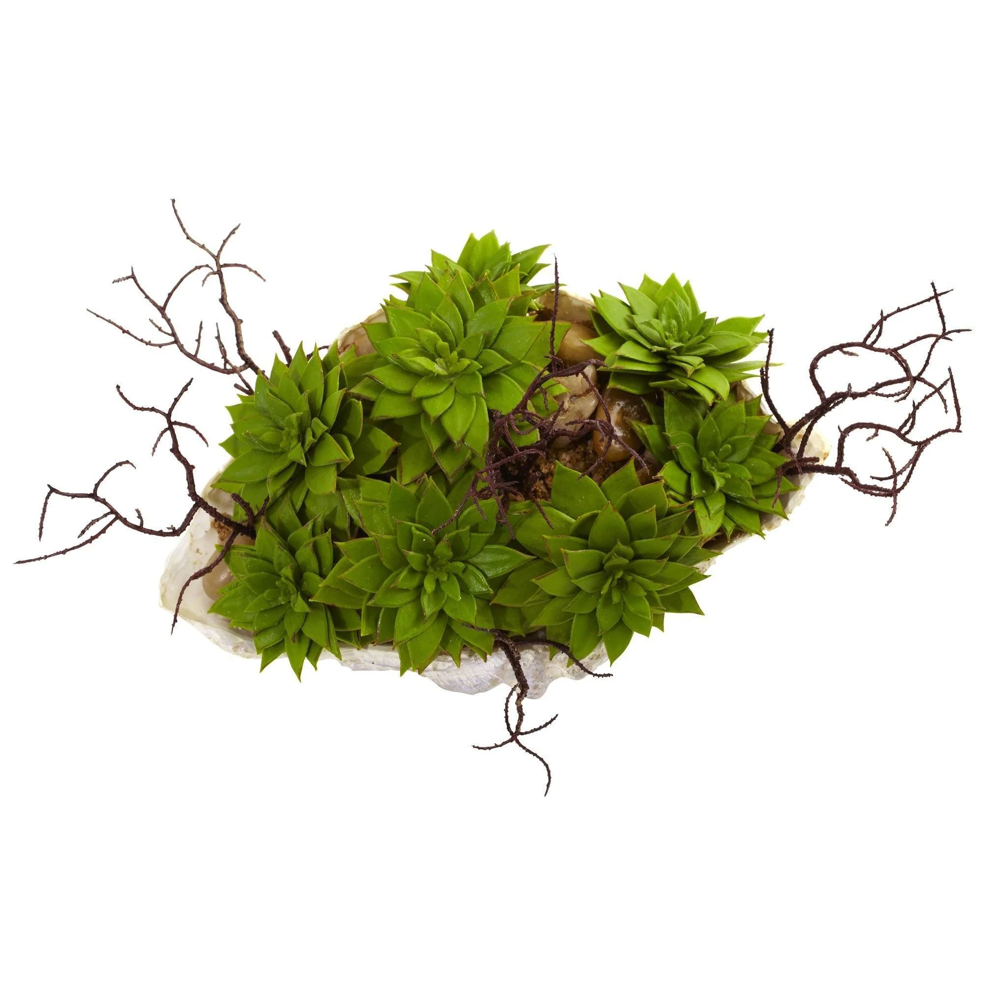 Succulent Garden w/Seashell - Image 5