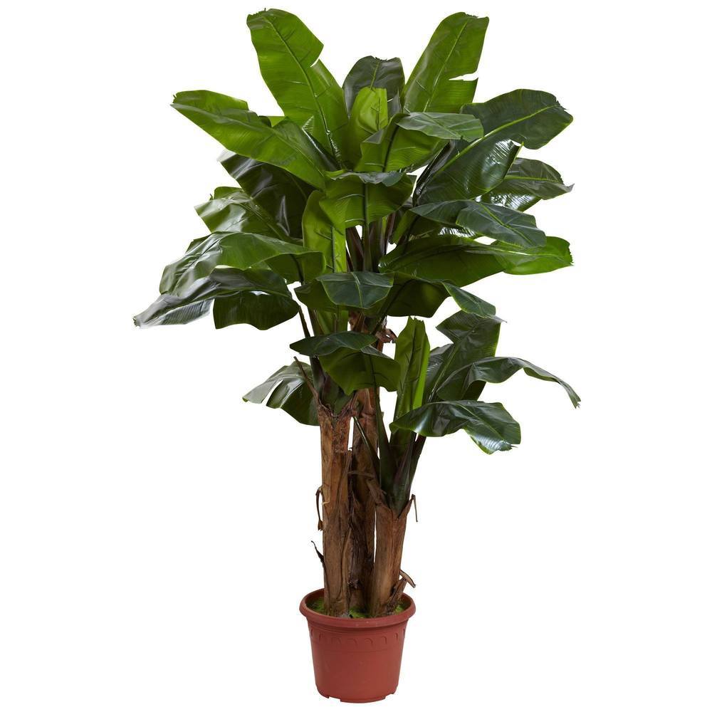 this is a test Product - Image 2