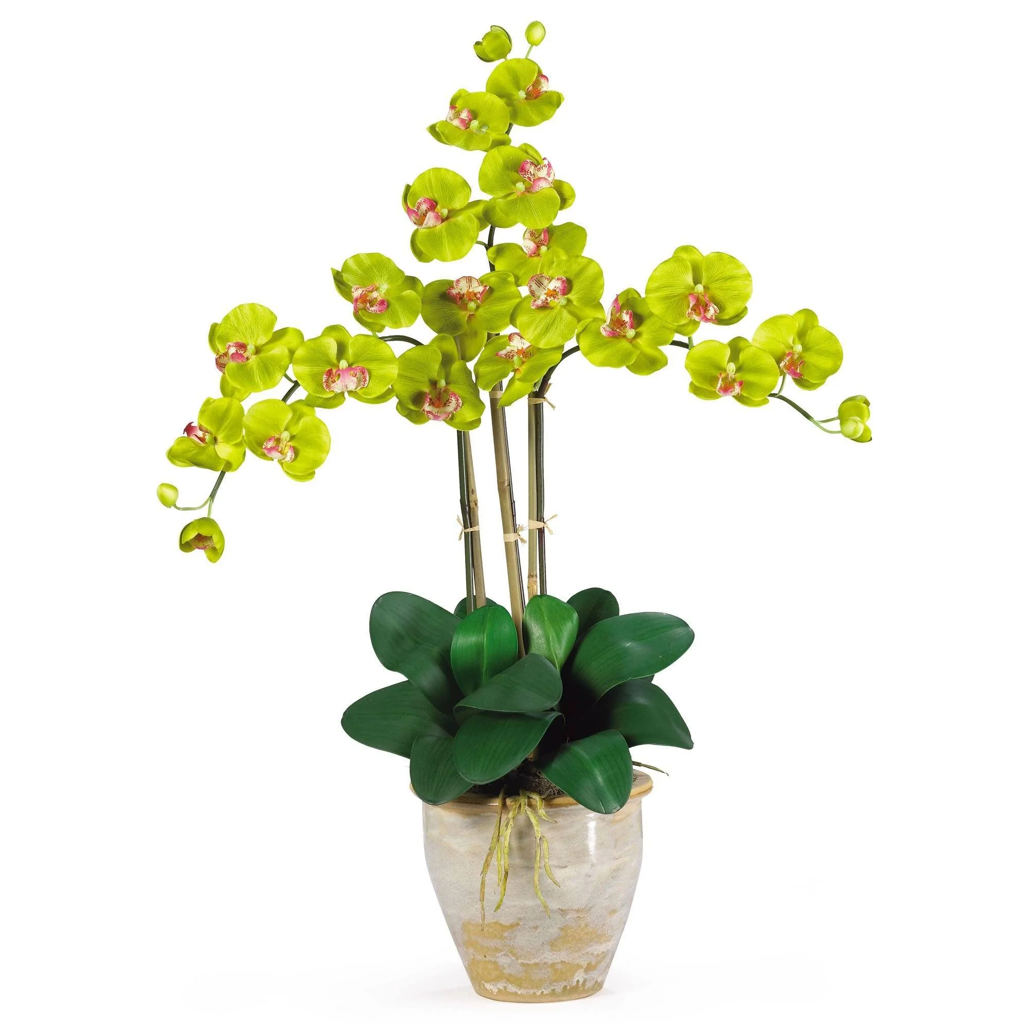 Triple Stem Phalaenopsis Silk Orchid Arrangement - Image 4