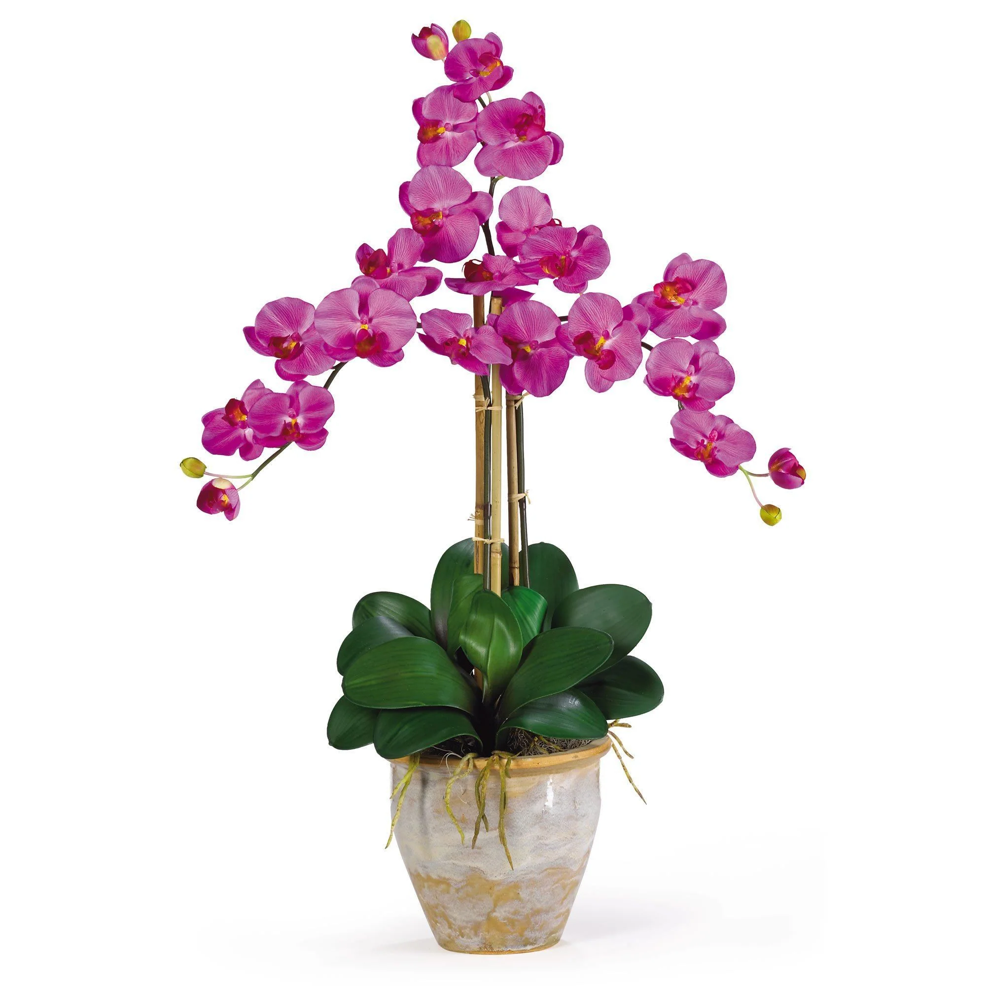 Triple Stem Phalaenopsis Silk Orchid Arrangement - Image 7