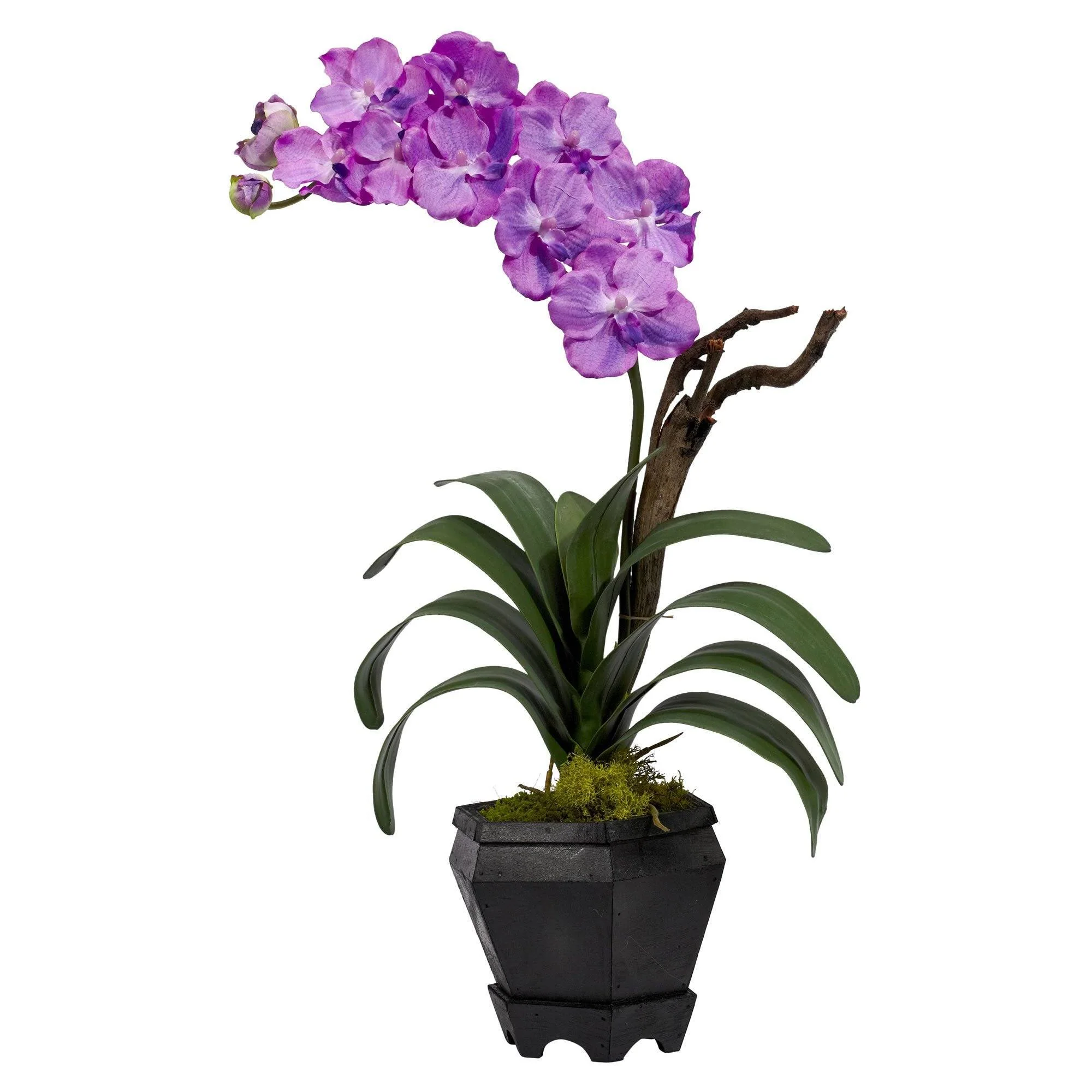 Vanda w/Black Hexagon Vase Silk Arrangement - Image 2