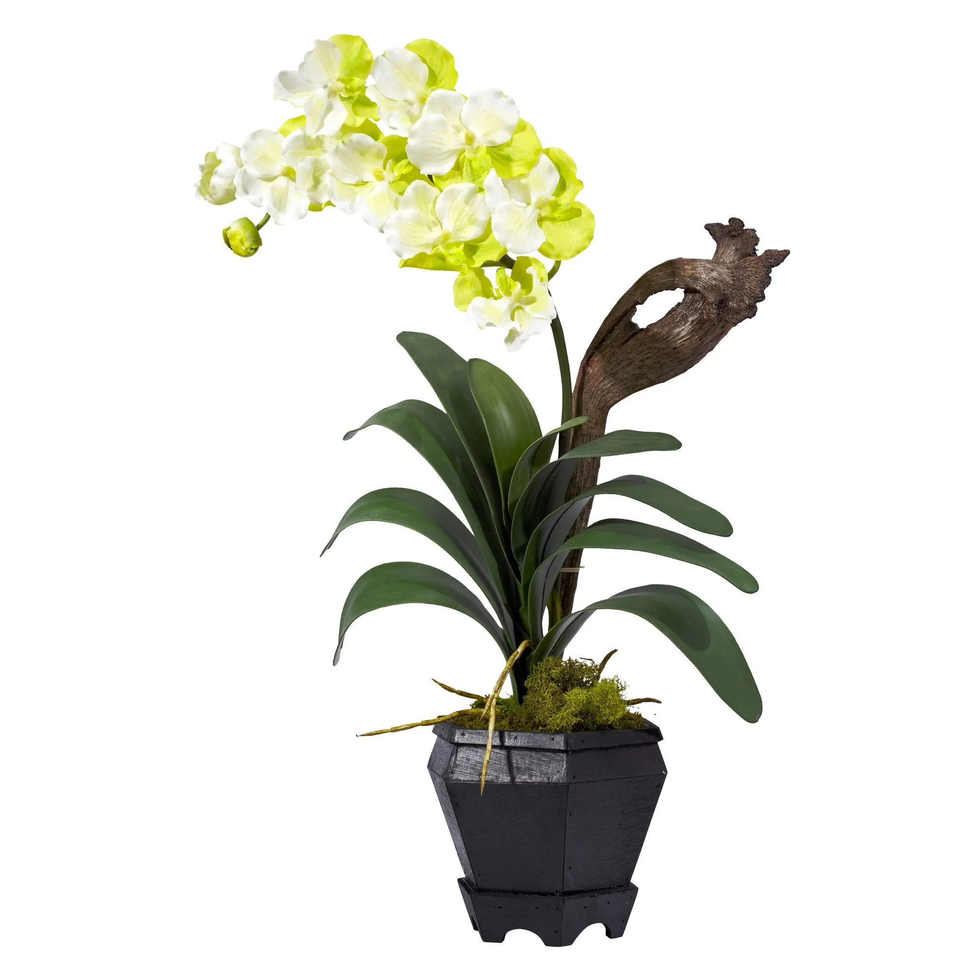 Vanda w/Black Hexagon Vase Silk Arrangement - Image 3