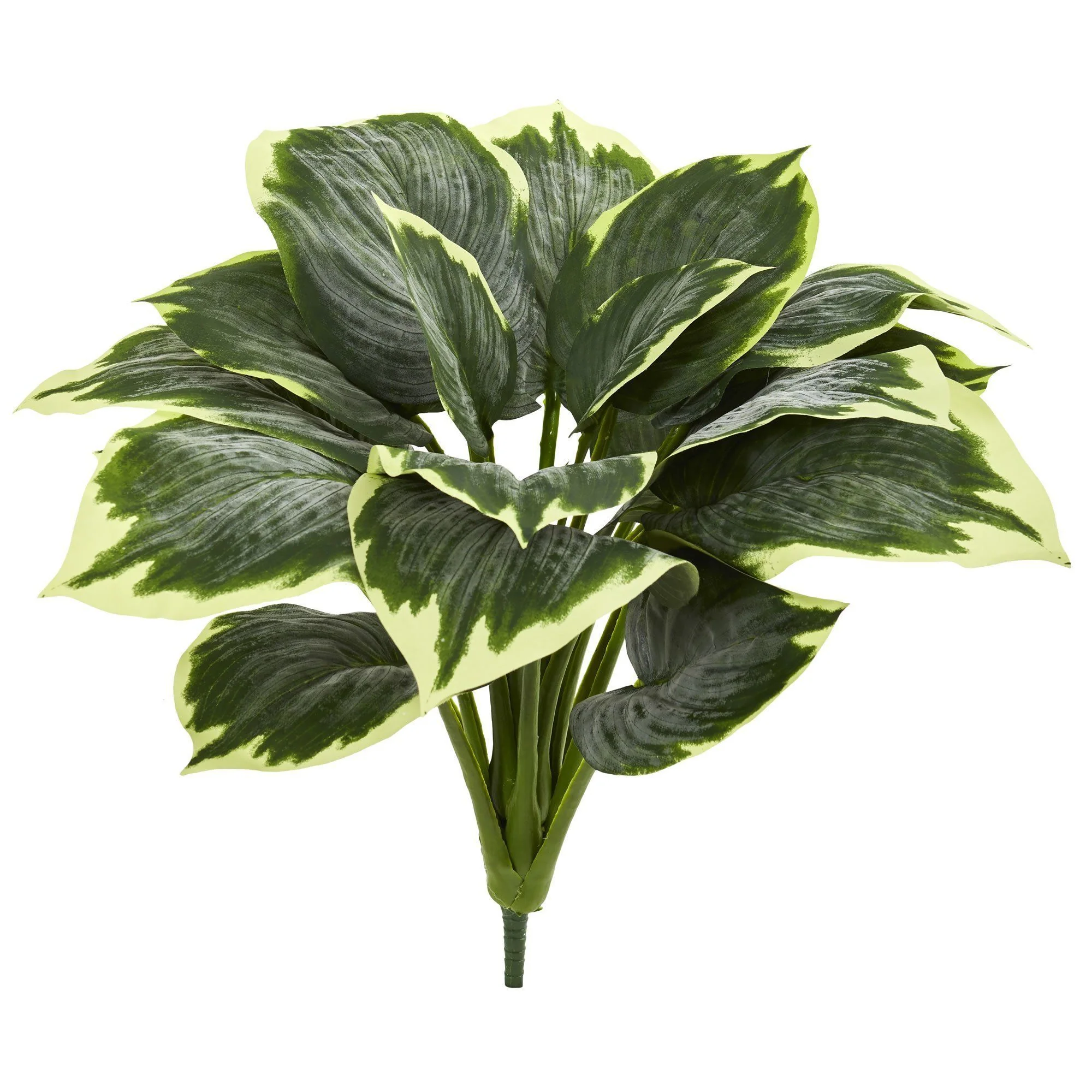 Variegated Hosta Artificial Plant (Set of 6) - Image 2
