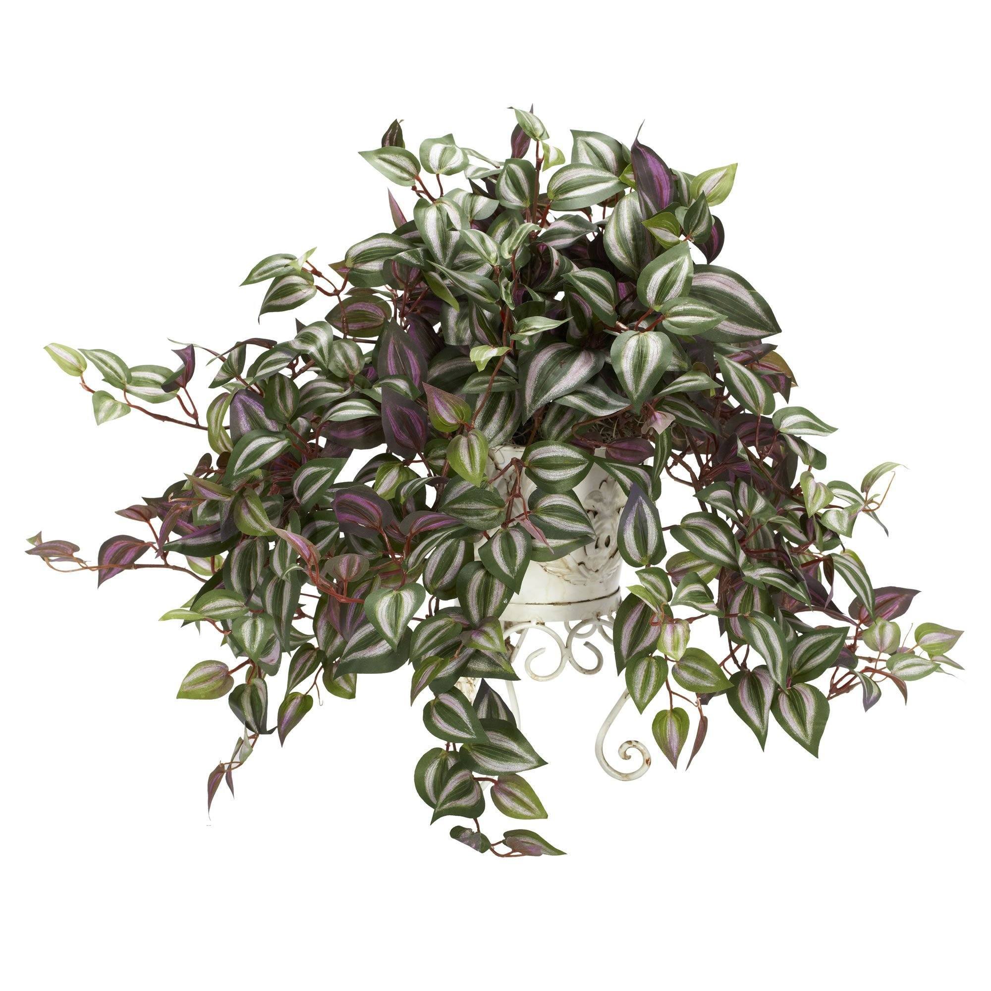 Wandering Jew w/Metal Planter Silk Plant - Image 2